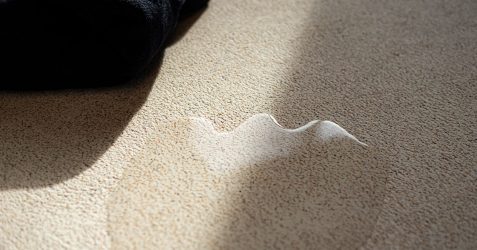 Beitragsbild mit einer wasserdichten Terrazzo-Granitech-Oberfläche mit Granitzuschlagmuster, das die überlegene Wasserbeständigkeit gegenüber traditionellen zementbasierten Microtopping-Systemen veranschaulicht