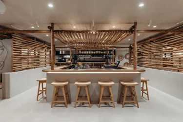 lime plaster durability